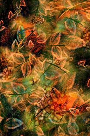 叶子印花华亿平台图片