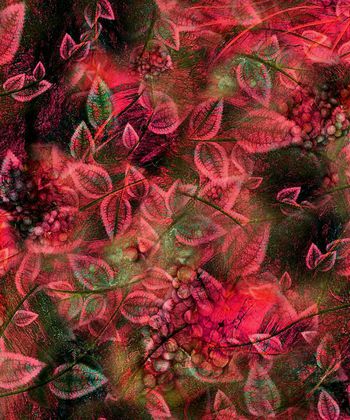 149226-WL2-0062F配色1