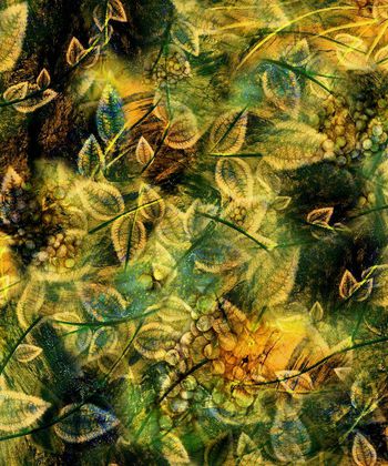 149229-WL2-0062F配色4