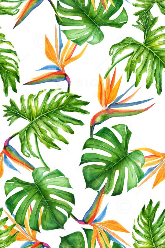 绿植树叶印花华亿平台图片