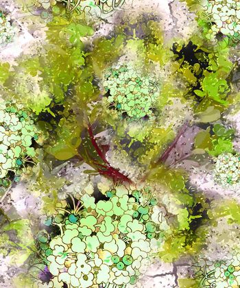 149243-WL2-0064F配色5