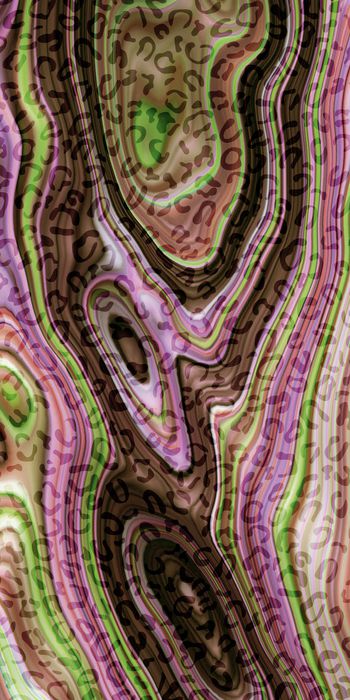 1492564-20215075074-2