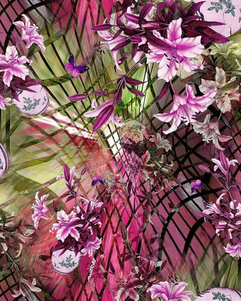 149289-百合花与蝴蝶