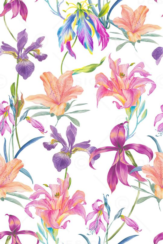 清爽底花卉印花华亿平台图片