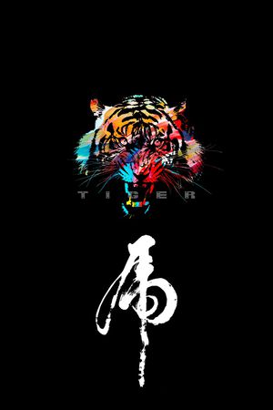 胸前独幅印花华亿平台图片