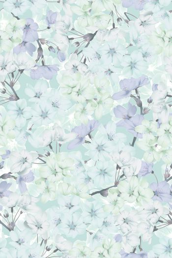 1493624-花卉20107-3