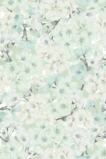 1493625-花卉20107-4