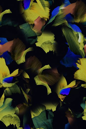 1493698-彩片扎染