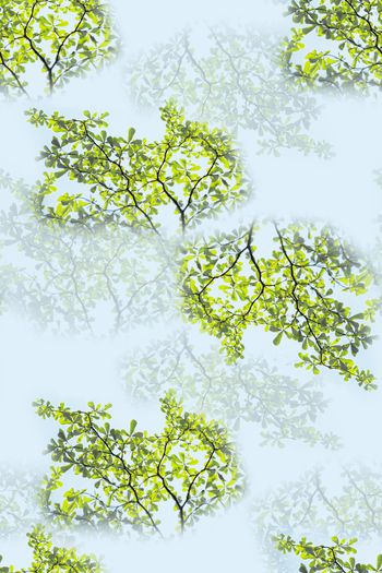 1493844-ZY-2022050111