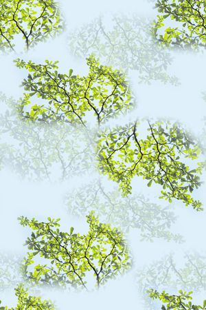 大牌风印花华亿平台图片