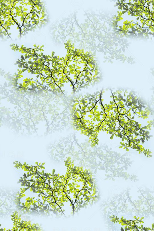 大牌风印花华亿平台图片