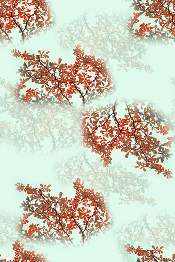 1493845-ZY-2022050112