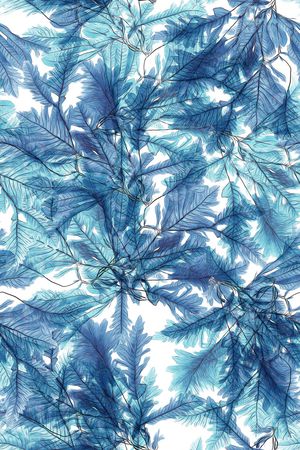 绿植树叶印花华亿平台图片