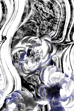 大花印花华亿平台图片