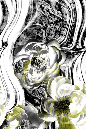 大花印花华亿平台图片