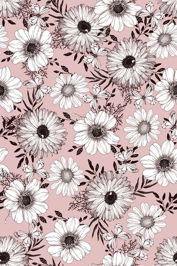 1495229-花卉20111-2