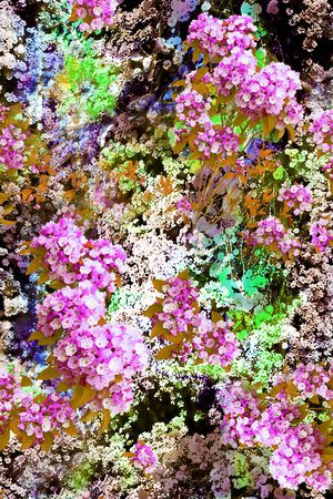 摄影写实花卉印花华亿平台图片