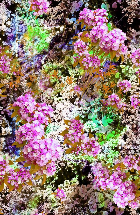 摄影写实花卉印花华亿平台图片