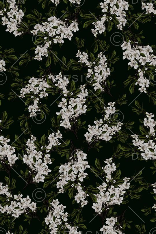 女装印花华亿平台图片