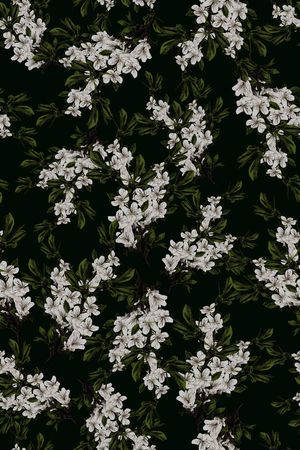 女装印花华亿平台图片