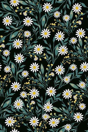 女装印花华亿平台图片