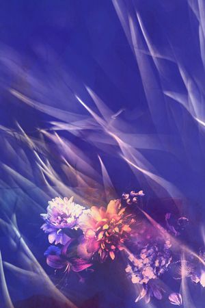 定位花印花华亿平台图片