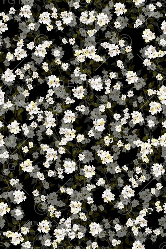 黑底花卉印花华亿平台图片