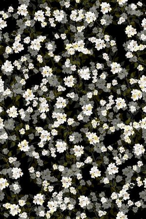 黑底花卉印花华亿平台图片