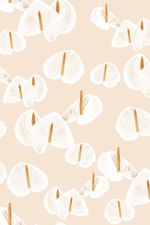 大花印花华亿平台图片