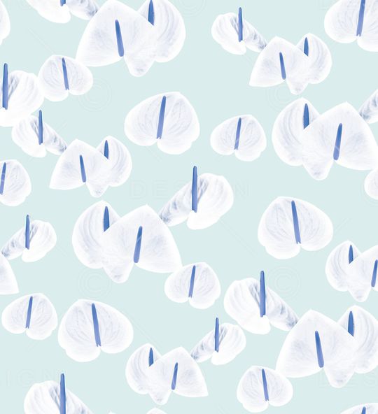 大牌风印花华亿平台图片