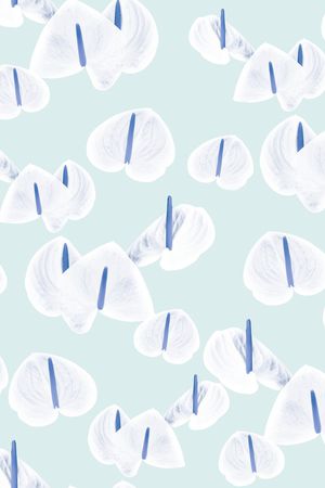 大牌风印花华亿平台图片