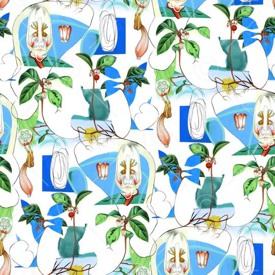 玉兰花印花华亿平台图片