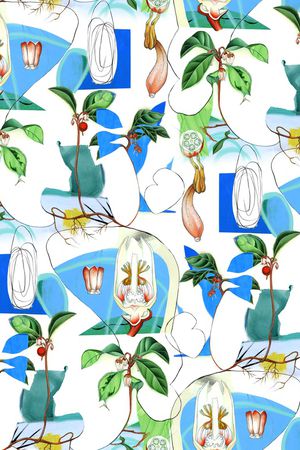 玉兰花印花华亿平台图片