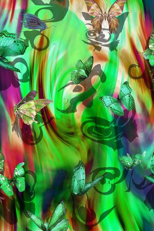 蝴蝶印花华亿平台图片