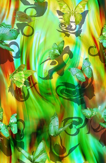 149572-WL2-0110B 副本-e