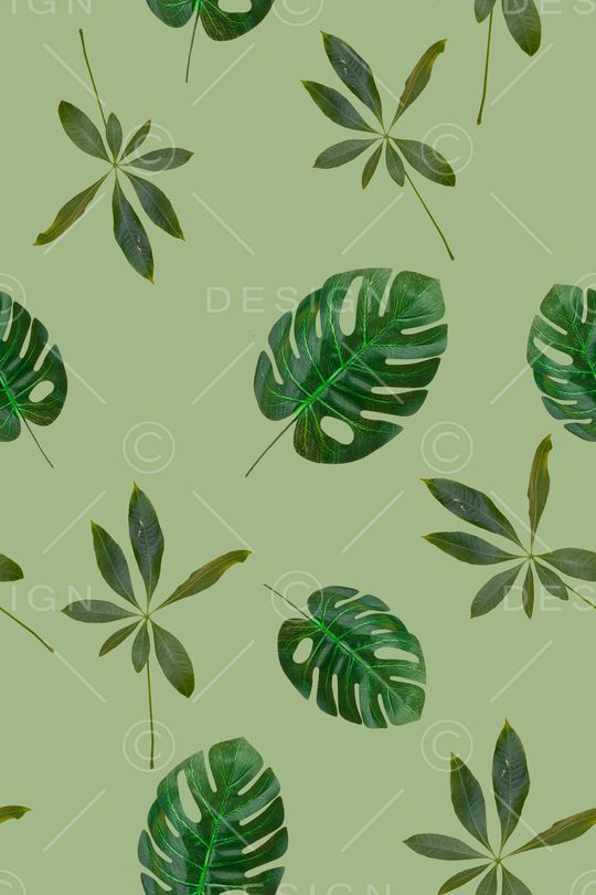 定位花印花华亿平台图片