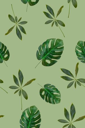 定位花印花华亿平台图片