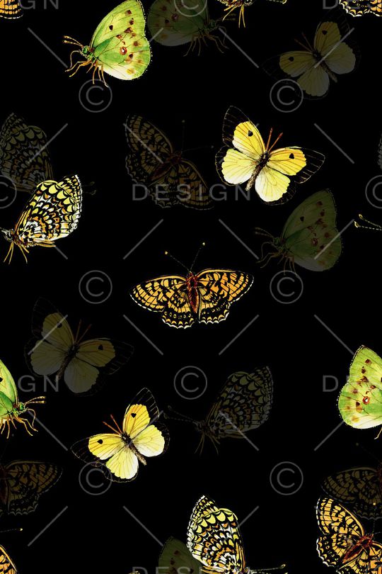 黑底花卉印花华亿平台图片