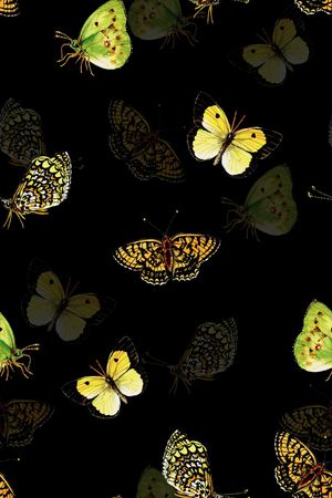 黑底花卉印花华亿平台图片