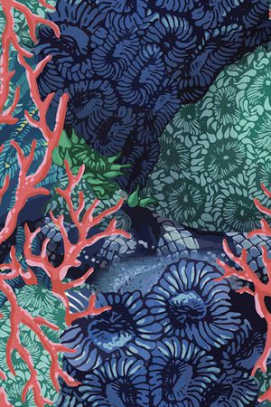 热带华亿平台印花华亿平台图片