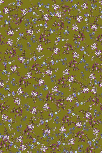 1496628-花卉20118-2