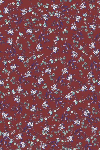 1496629-花卉20118-3