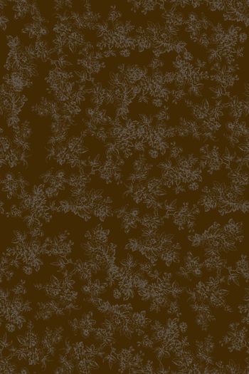 1496632-花卉20120-3