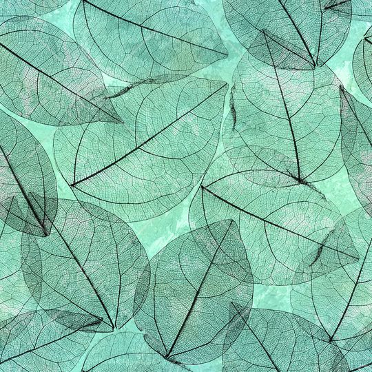 线条印花华亿平台图片