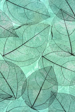 线条印花华亿平台图片