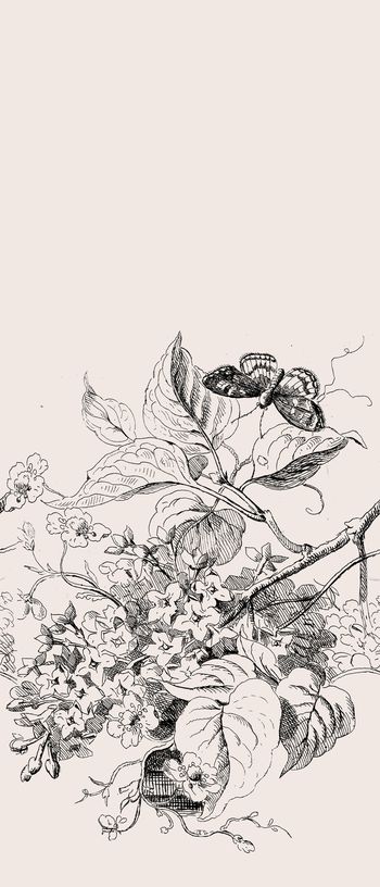 线条印花华亿平台图片