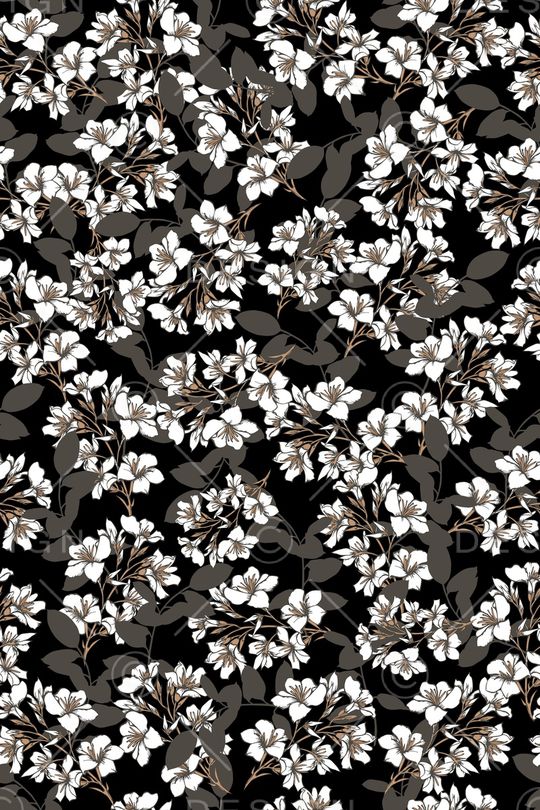 女装印花华亿平台图片