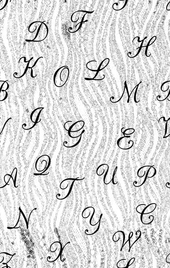 格子印花华亿平台图片