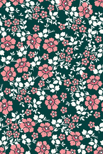 1497276-花卉20116-2