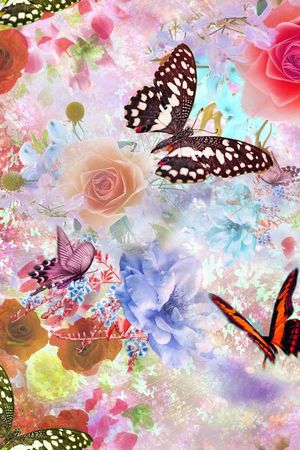 蝴蝶印花华亿平台图片